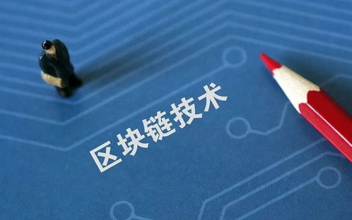4777777现场直播开奖记录42182|实时更新解释落实_移动版SSIP.0.501