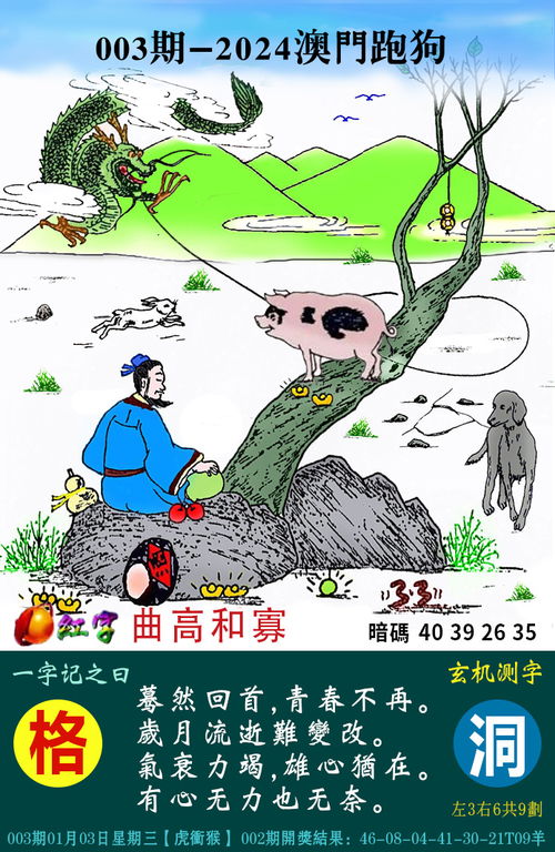 2024新版跑狗图库大全|综合分析解释落实_专注版.0.195