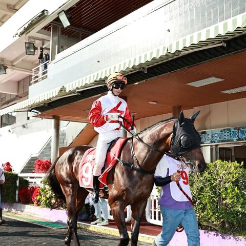 澳门采先知com|全面了解最新正品的解答与应用_智能版.2.203